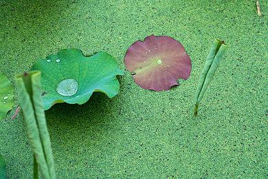 视觉小说《我和她的研修日志》上线Steam 发售时间待定
